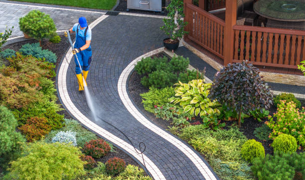 Best Power Washing Near Me  in Kalama, WA